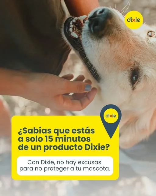 ¿Sabías que estás a solo 15 minutos de un producto Dixie? (publicación de Instagram del 8 sep 2026)