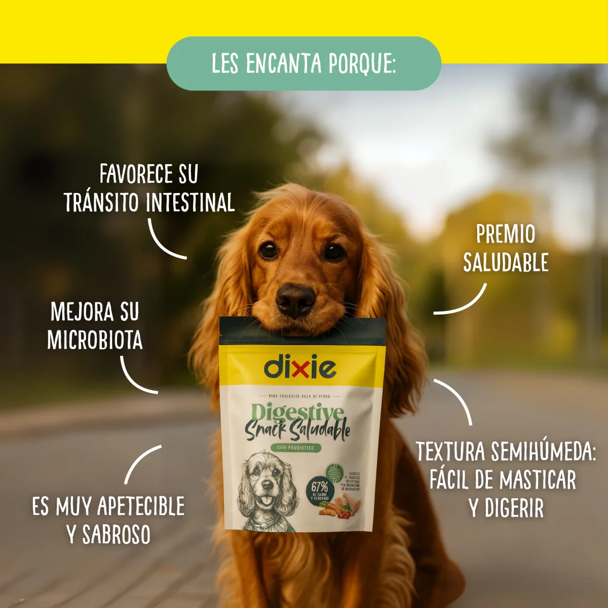 Les encanta porque