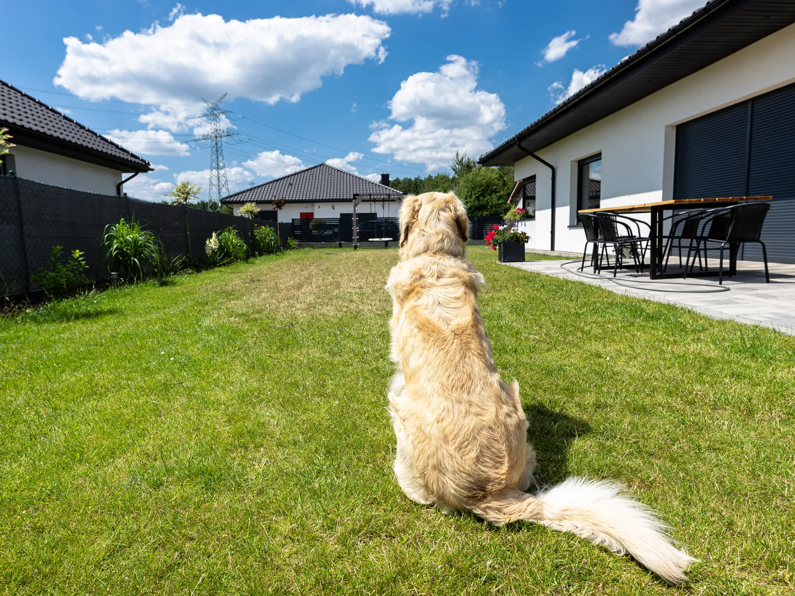 Golden retriever sentado en el césped del jardín de una casa, con la terraza al fondo