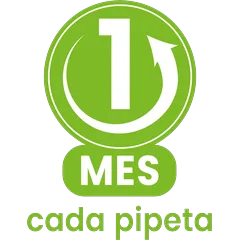 Un mes cada pipeta
