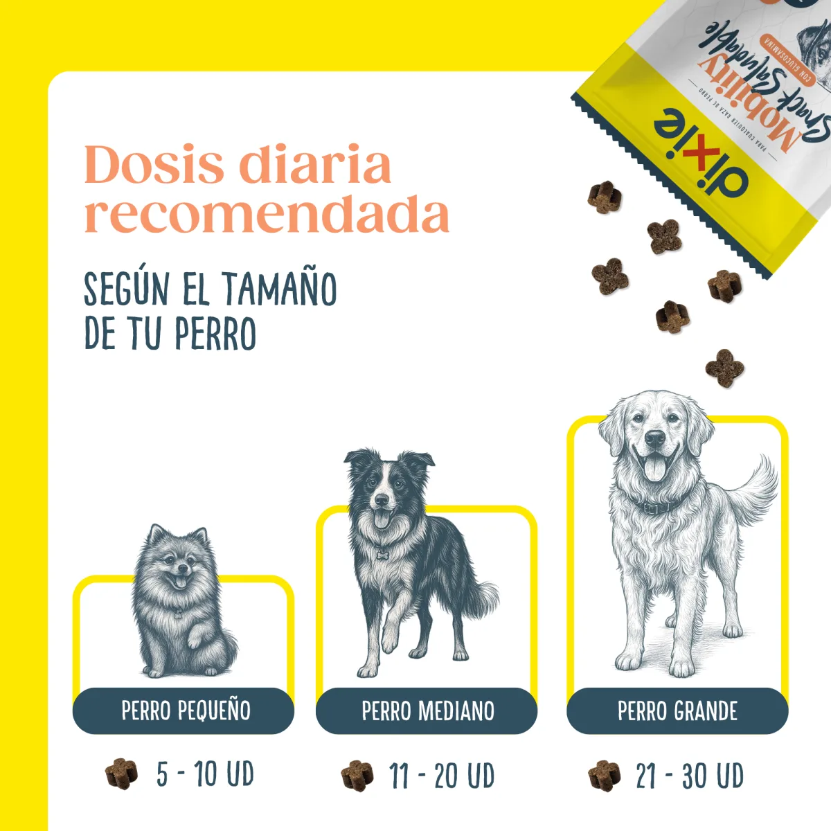 Dosis diaria