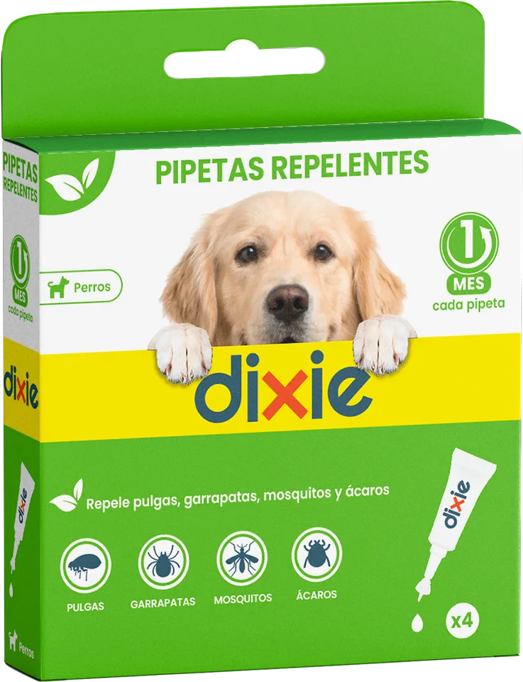 Pipetas repelentes para perros Dixie, estuche de 4 pipetas